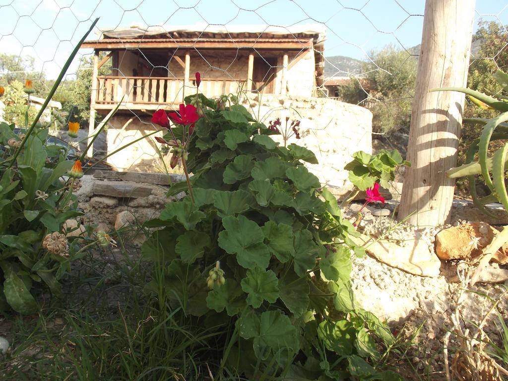 Maison d'hôtes Beymelek Tas Evler à Demre Extérieur photo
